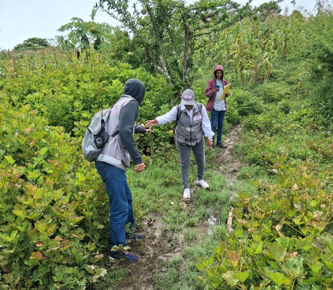 Cada registro realizado por los equipos del Norte representa el esfuerzo por consolidar una base estadística precisa y confiable